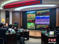 东部候鸟迁飞通道：中国多省联动织密跨